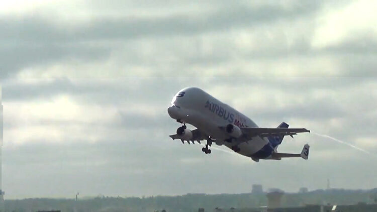Beluga Aircraft