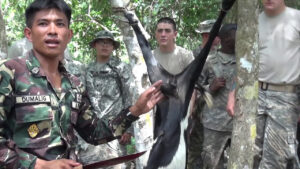 Jungle Survival