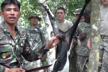 Jungle Survival
